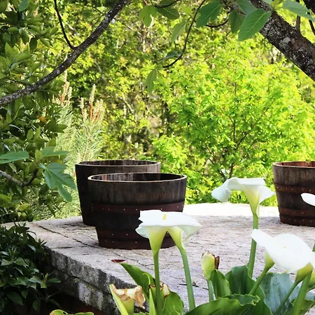 Ferienhaus Grosses Renoviertes In By Interhome *