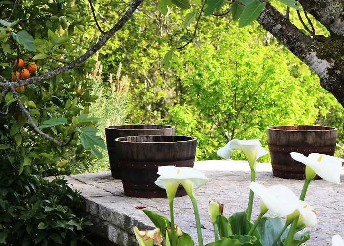 Semesterbostad Grosses Renoviertes In By Interhome *